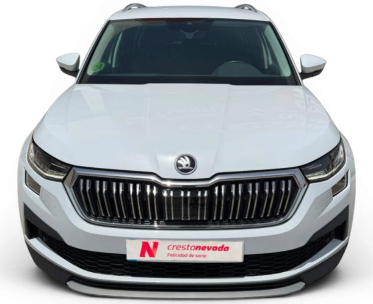 Imagen de Skoda Kodiaq
