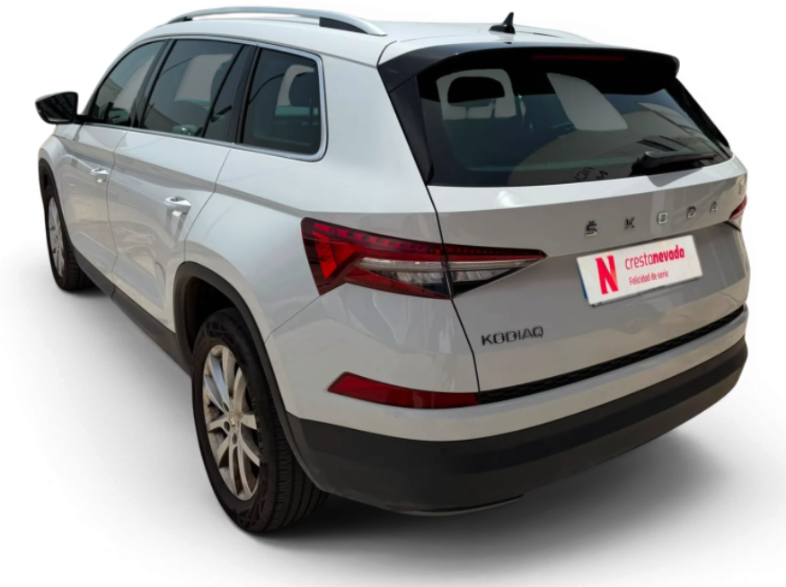 Imagen de Skoda Kodiaq