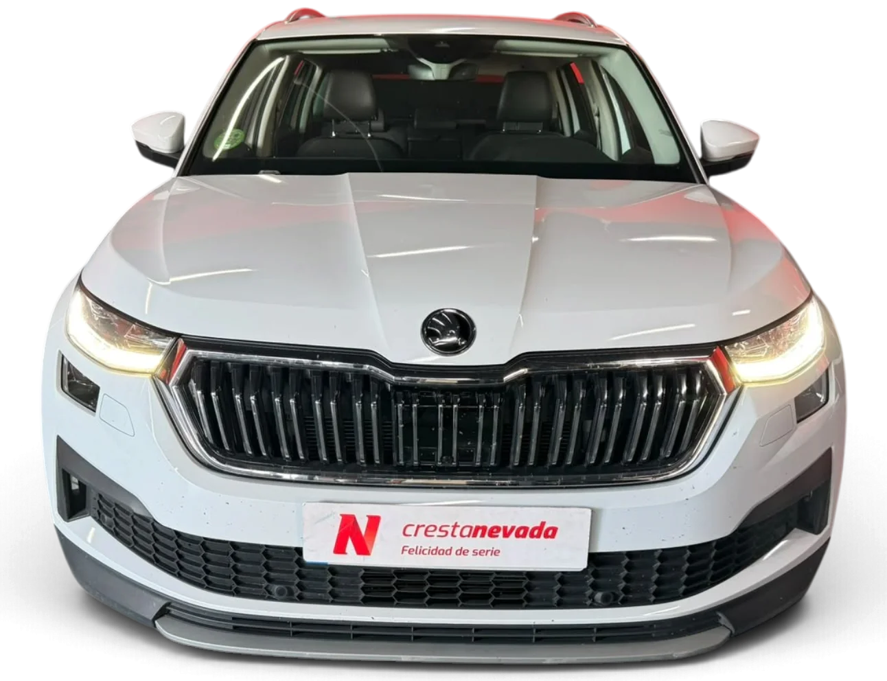 Imagen de Skoda Kodiaq