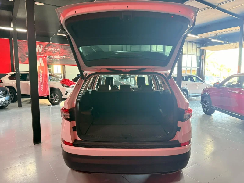 Imagen de Skoda Kodiaq