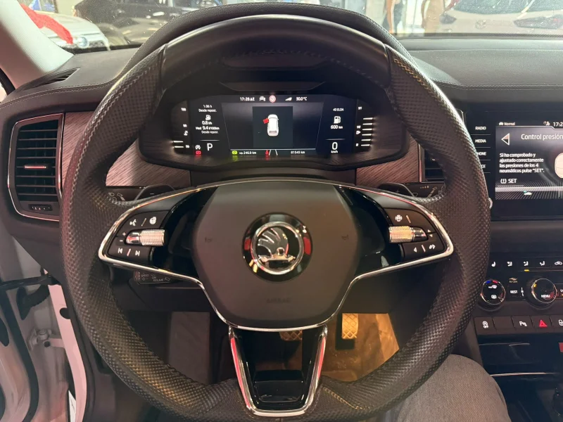 Imagen de Skoda Kodiaq
