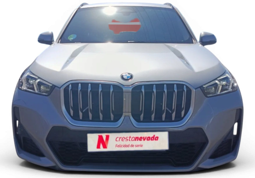 Imagen de BMW X1
