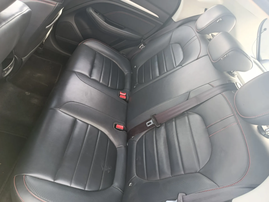 Imagen de Mg ZS