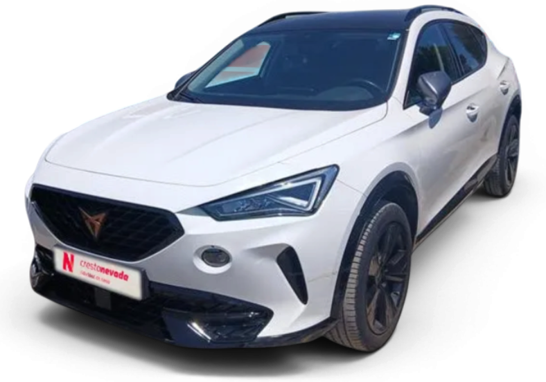 Imagen de cupra Formentor