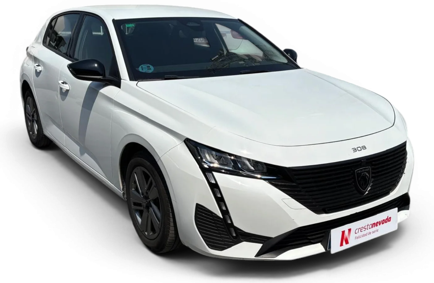 Imagen de Peugeot 308