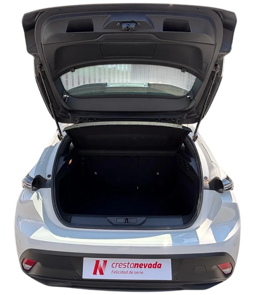 Imagen de Peugeot 308