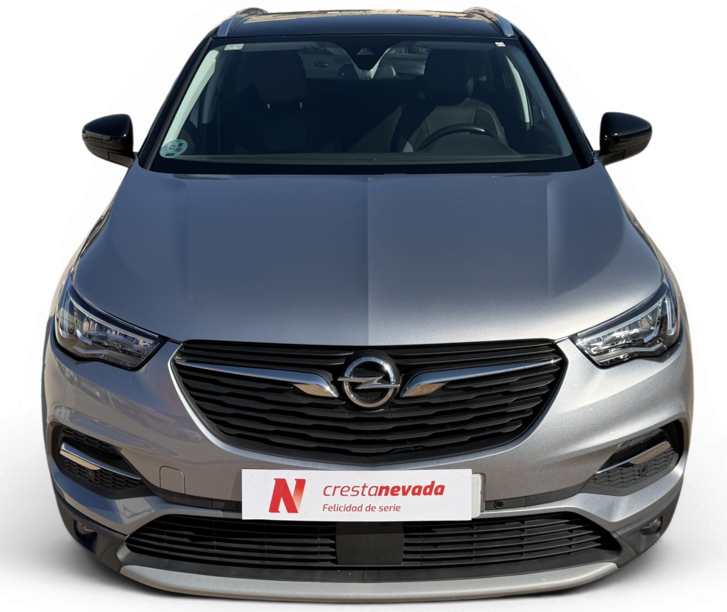 Imagen de Opel Grandland X