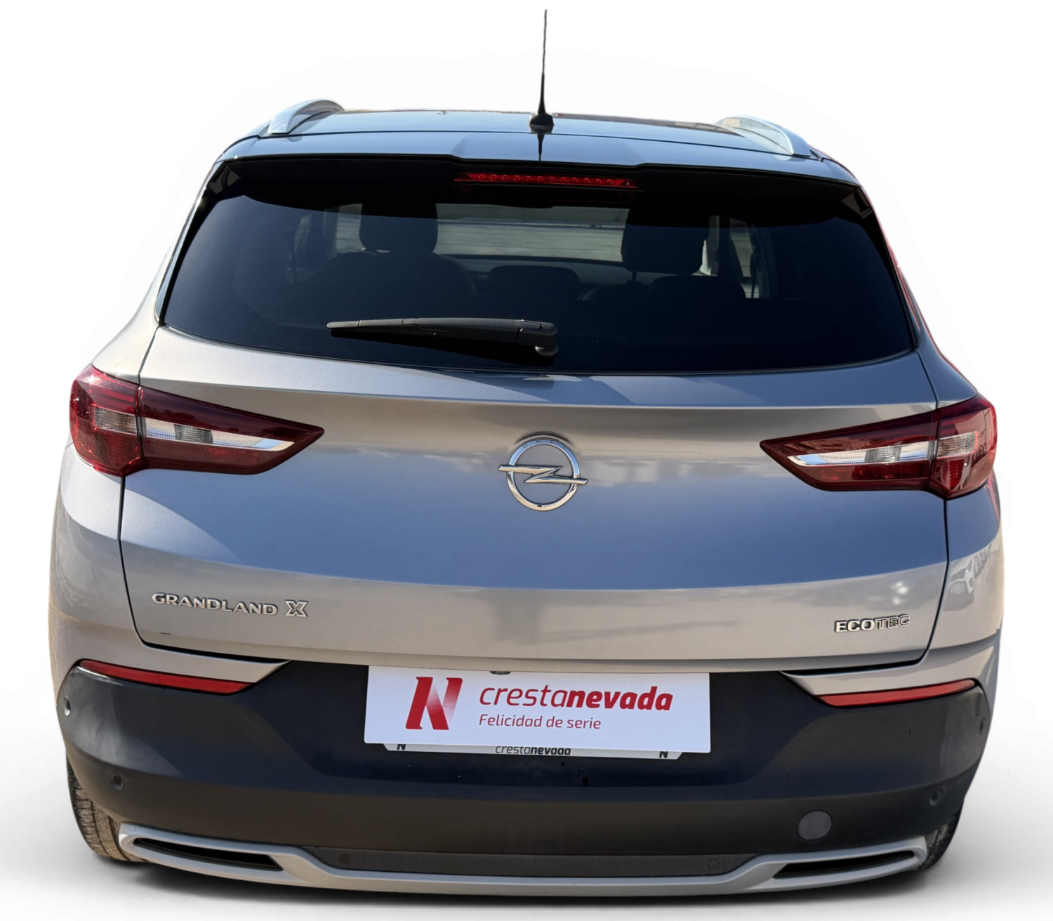 Imagen de Opel Grandland X