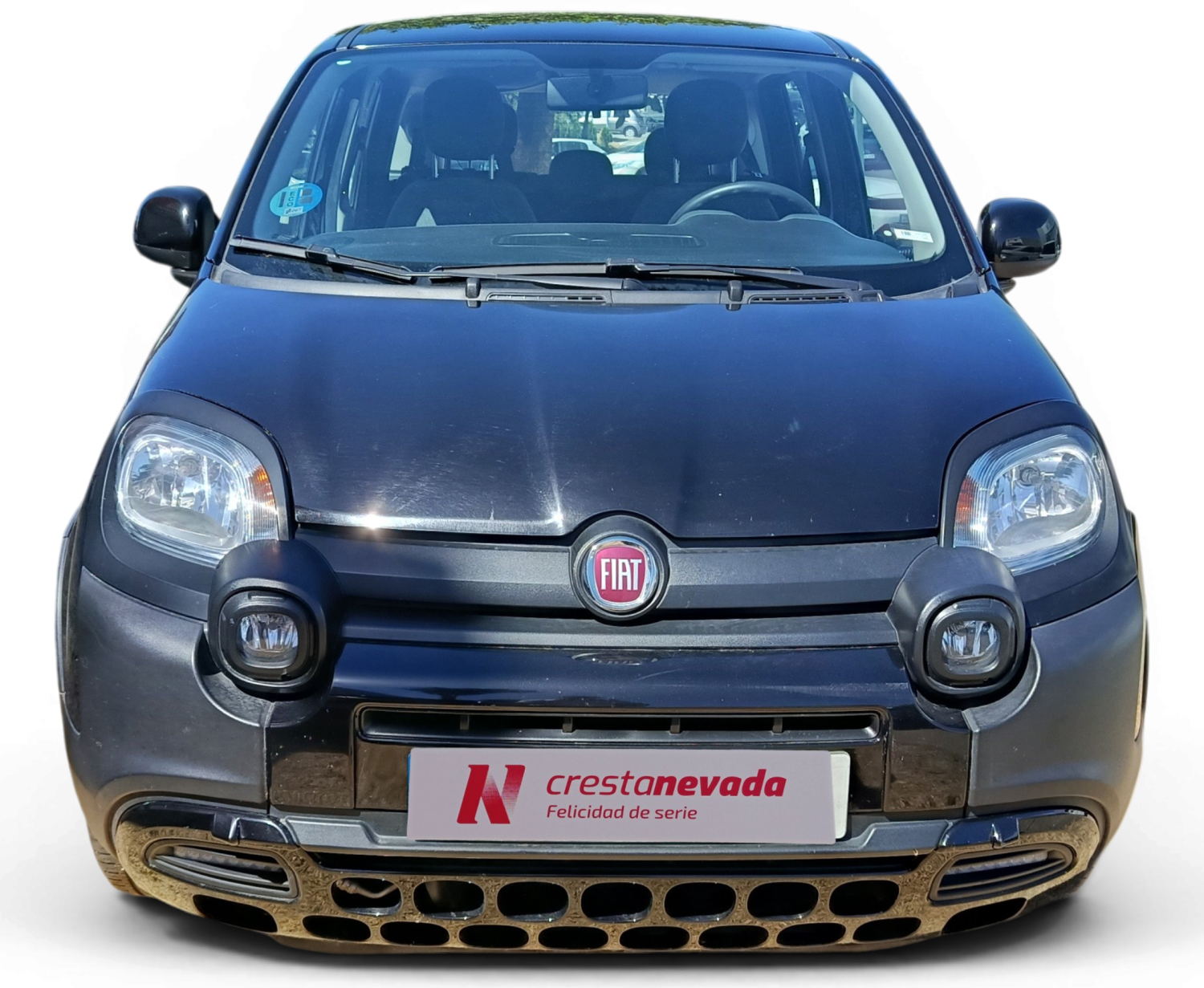 Imagen de Fiat Panda