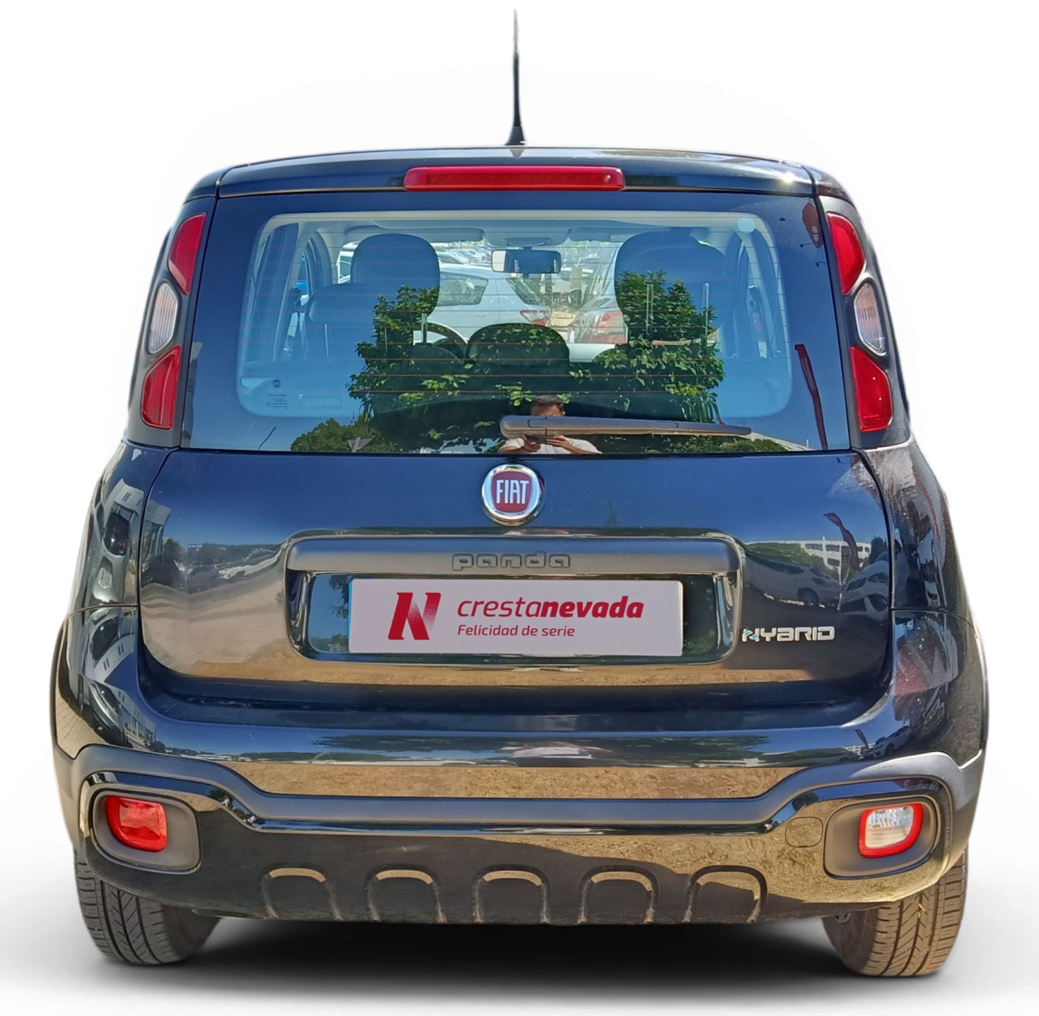 Imagen de Fiat Panda