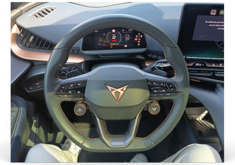 Imagen de cupra Tavascan
