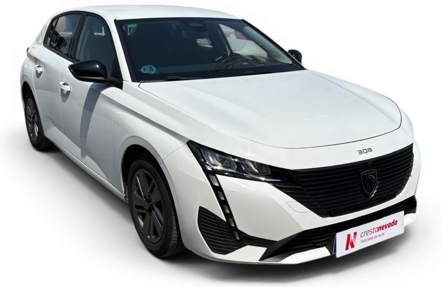 Imagen de Peugeot 308