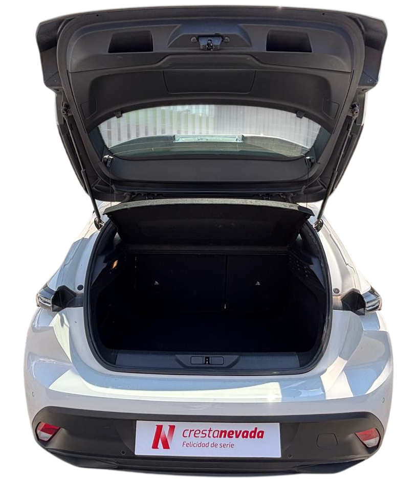 Imagen de Peugeot 308