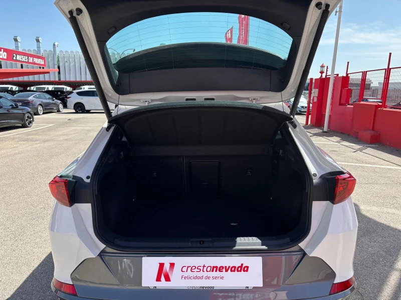 Imagen de cupra Formentor