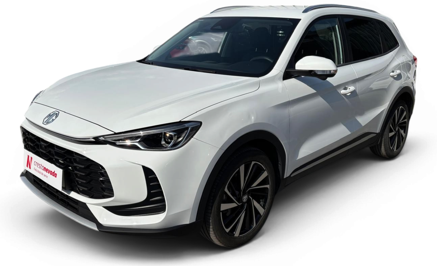 Imagen de Mg ZS