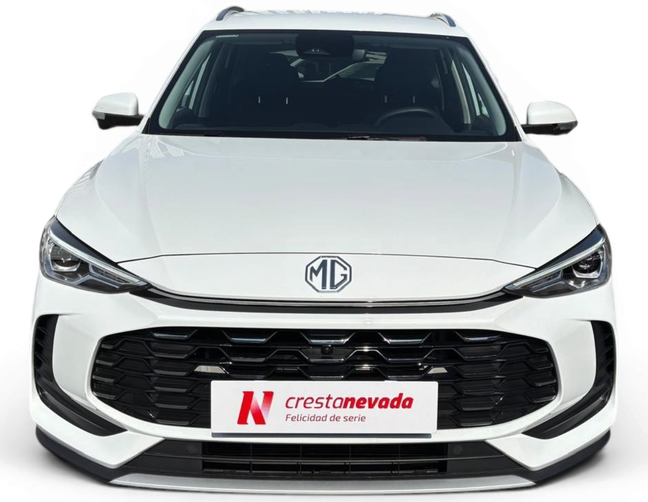 Imagen de Mg ZS