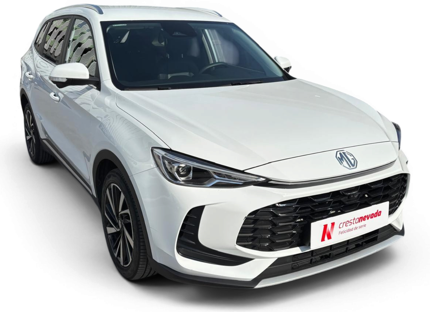 Imagen de Mg ZS