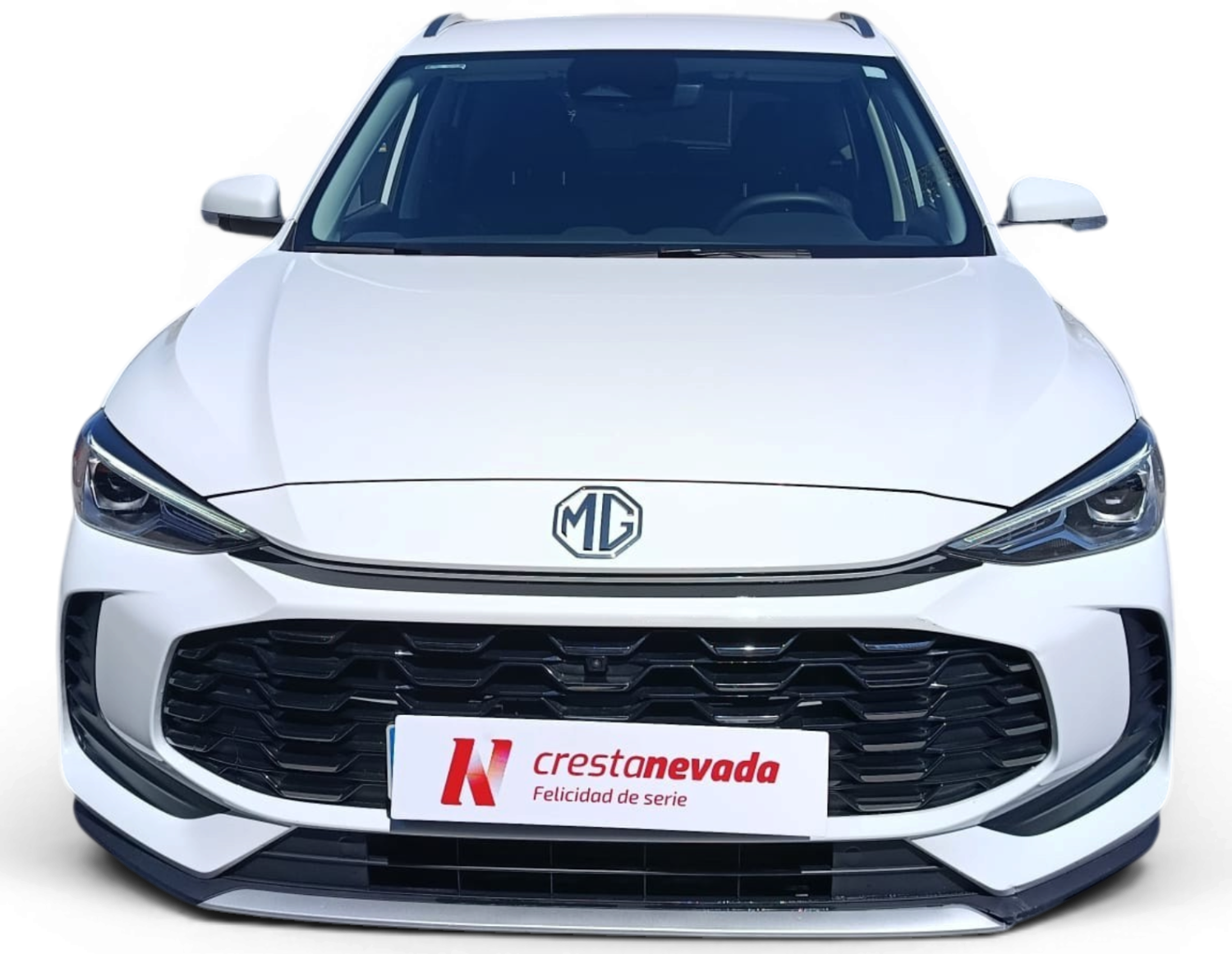 Imagen de Mg ZS