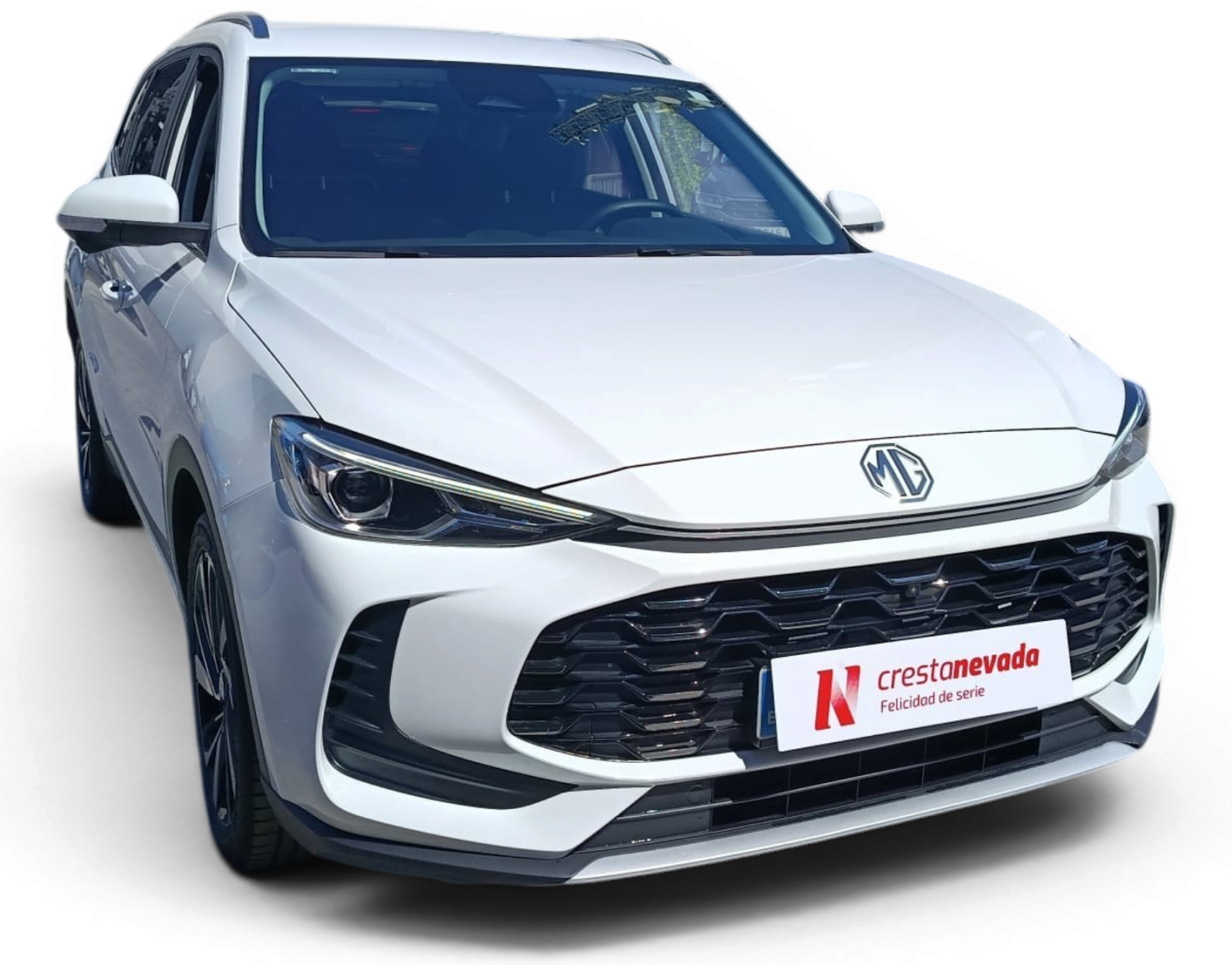 Imagen de Mg ZS