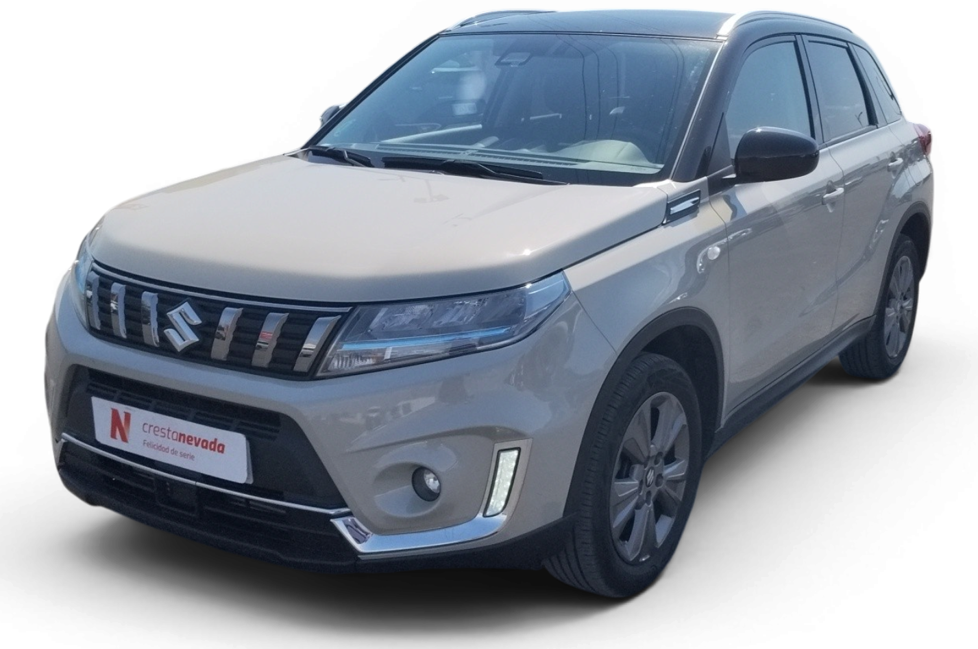 Imagen de Suzuki Vitara
