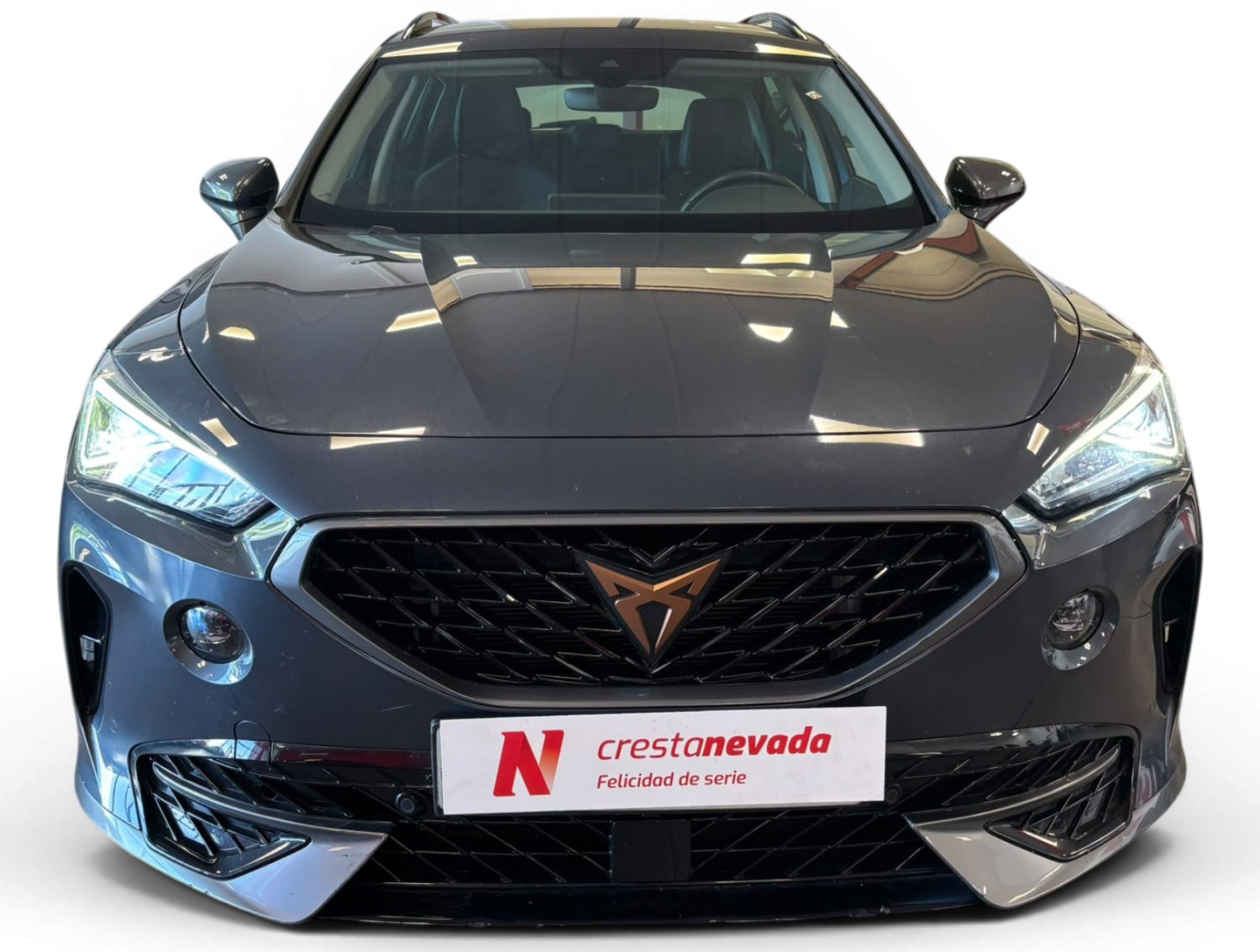 Imagen de cupra Formentor