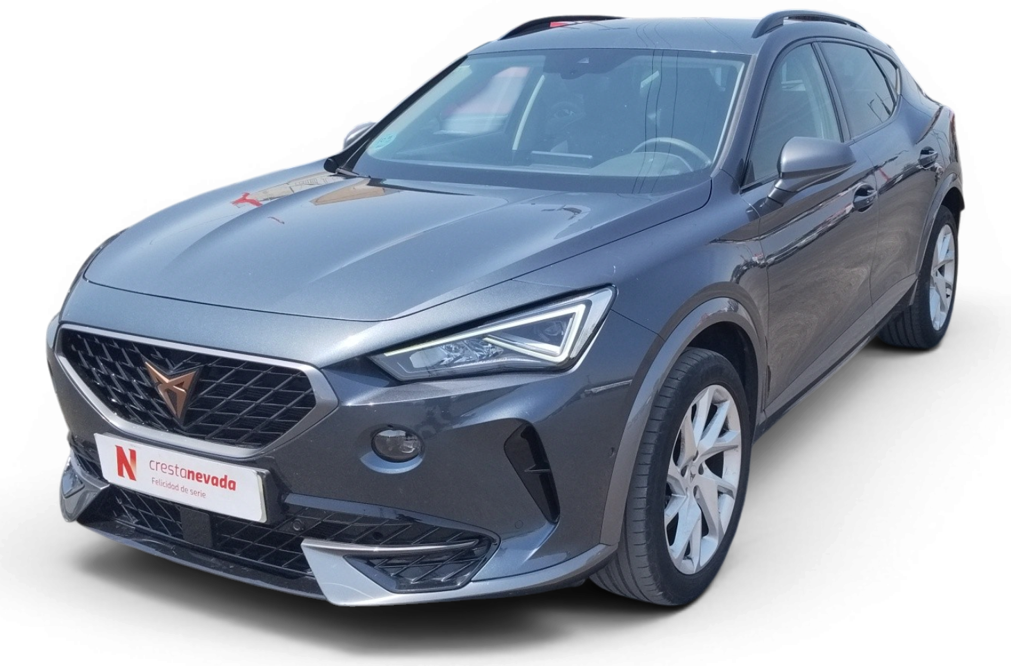 Imagen de cupra Formentor