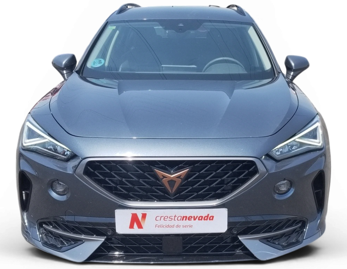Imagen de cupra Formentor