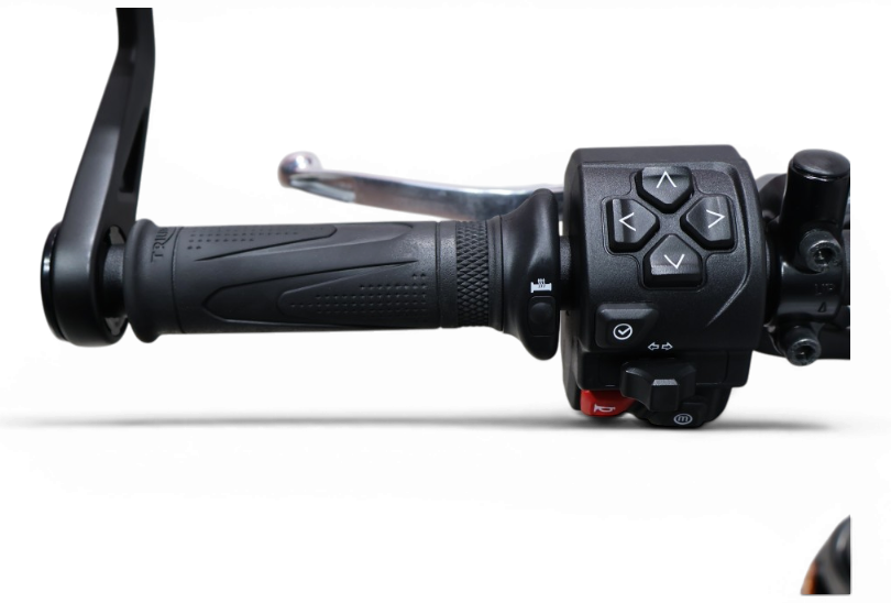 Imagen de Triumph TRIDENT 660