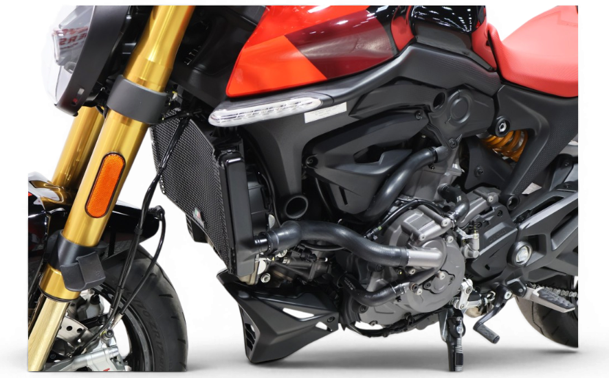 Imagen 13 de Ducati MONSTER SP Gasolina 111 CV