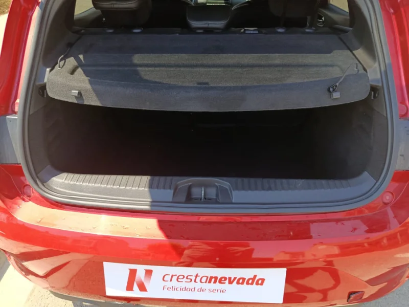 Imagen de Renault Clio