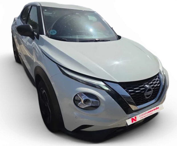Imagen de NISSAN JUKE