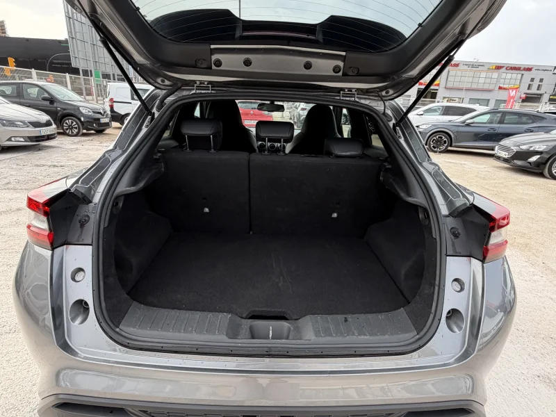 Imagen de NISSAN JUKE