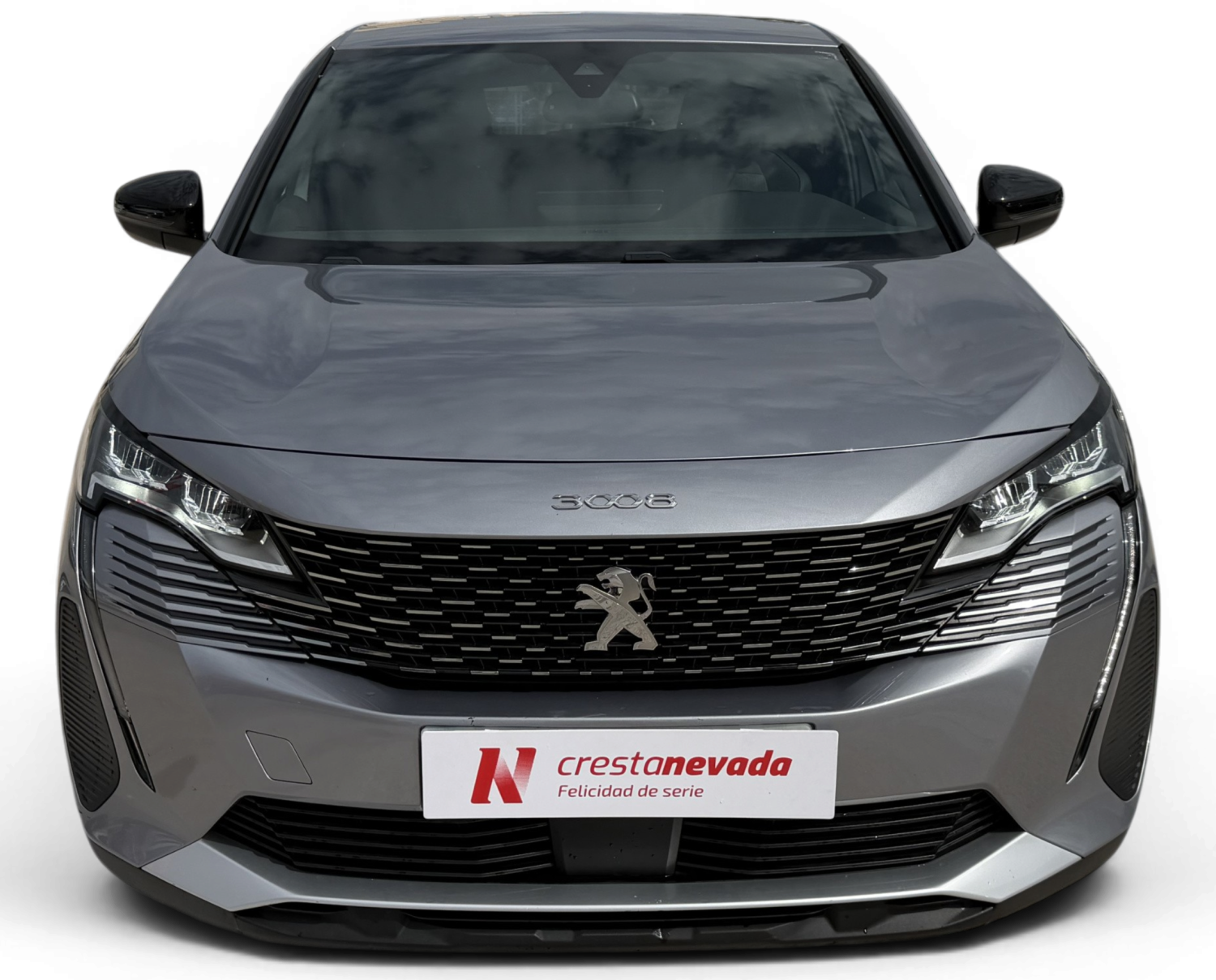 Imagen de Peugeot 3008