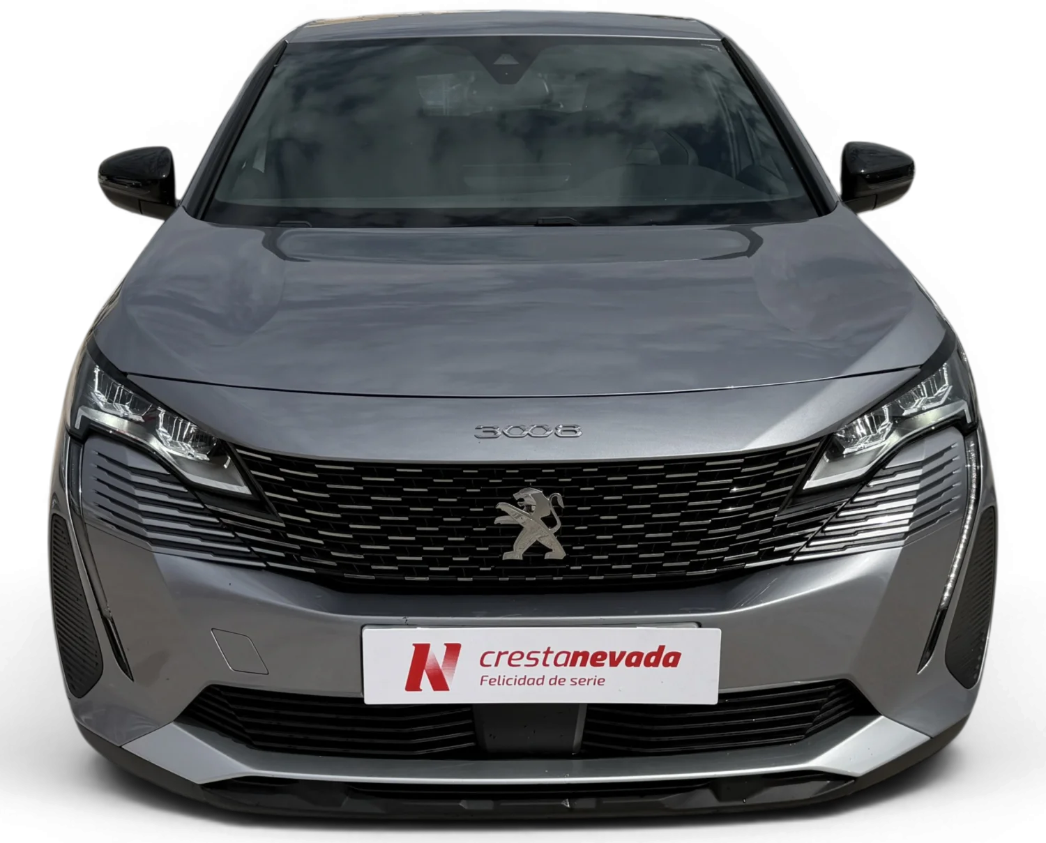 Imagen de Peugeot 3008