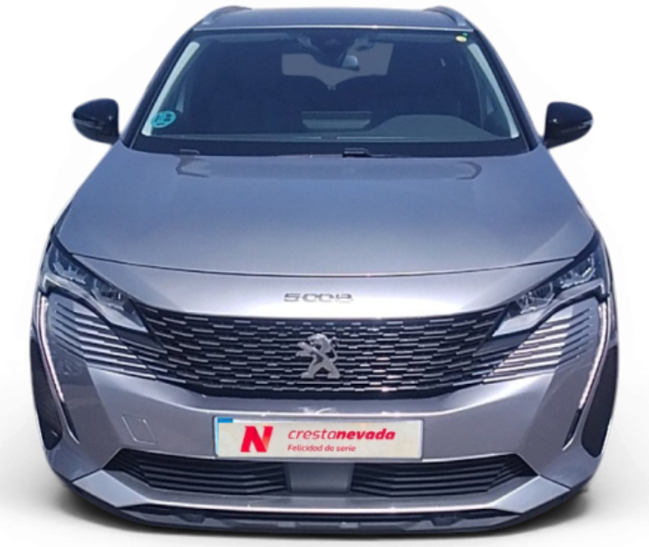 Imagen de Peugeot 5008