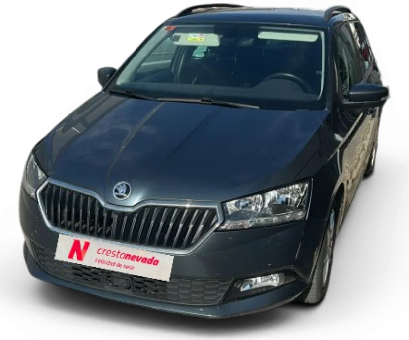 Imagen de Skoda Fabia