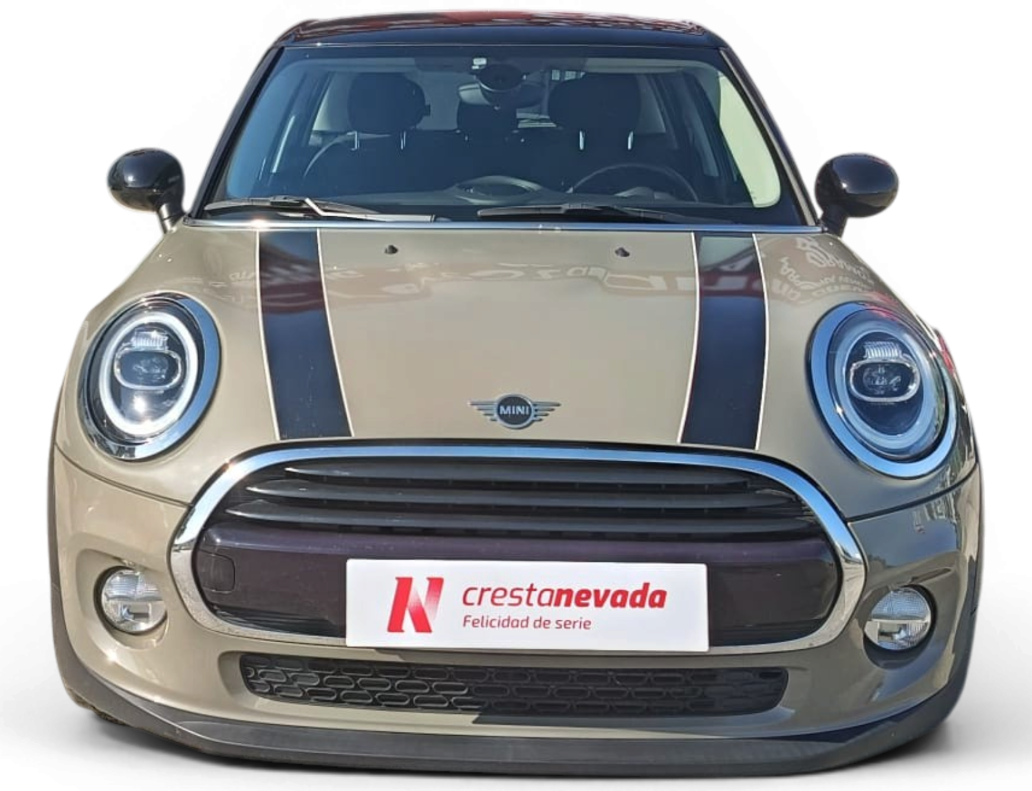 Imagen de Mini MINI