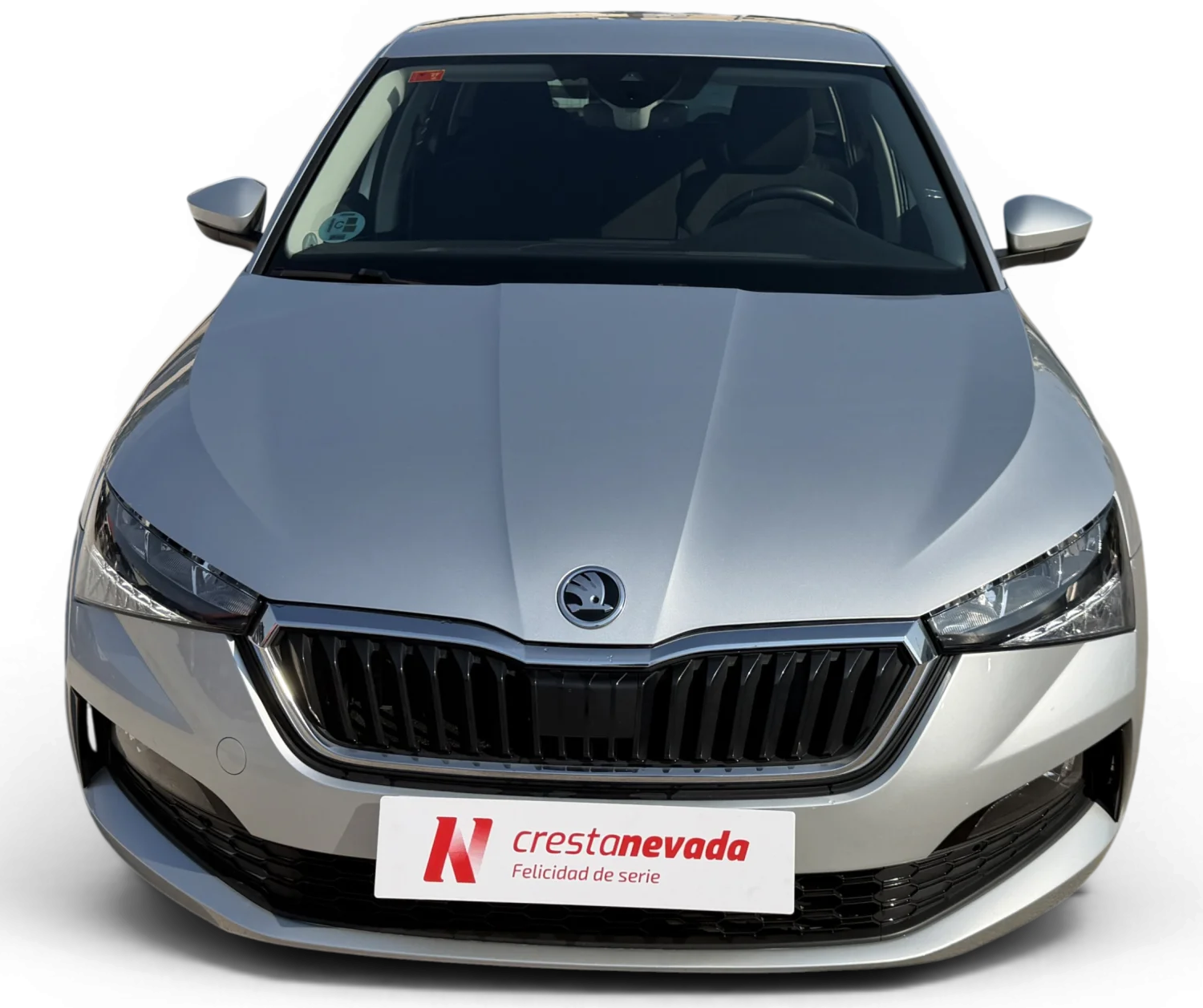 Imagen de Skoda Scala