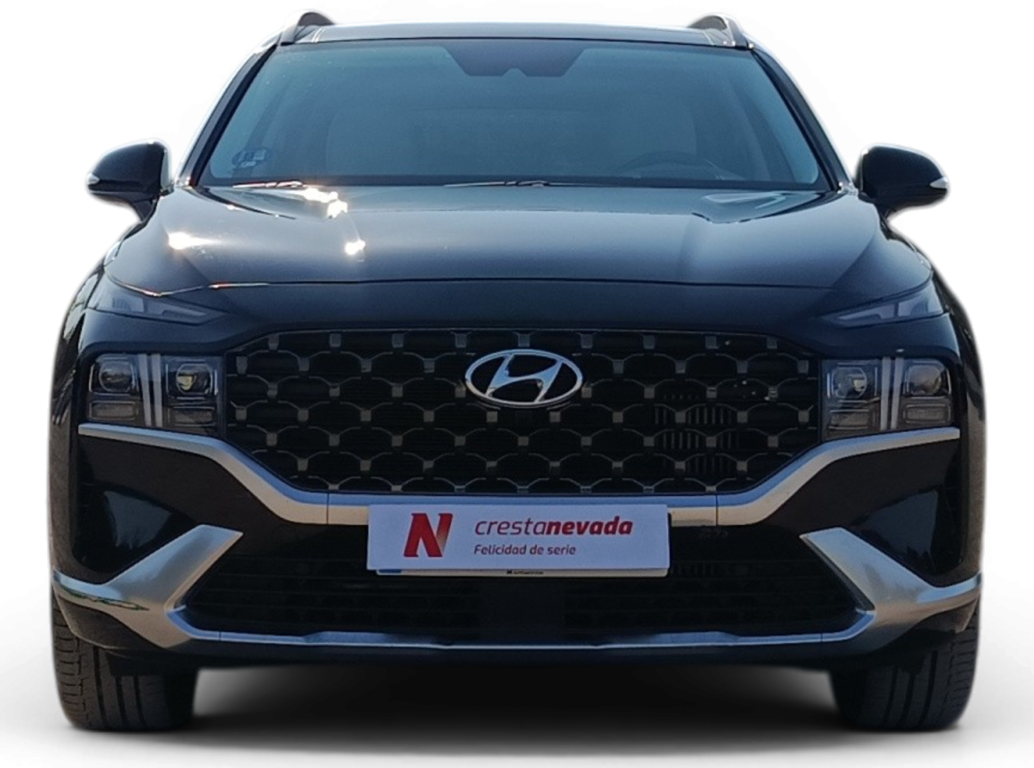 Imagen de Hyundai Santa Fe