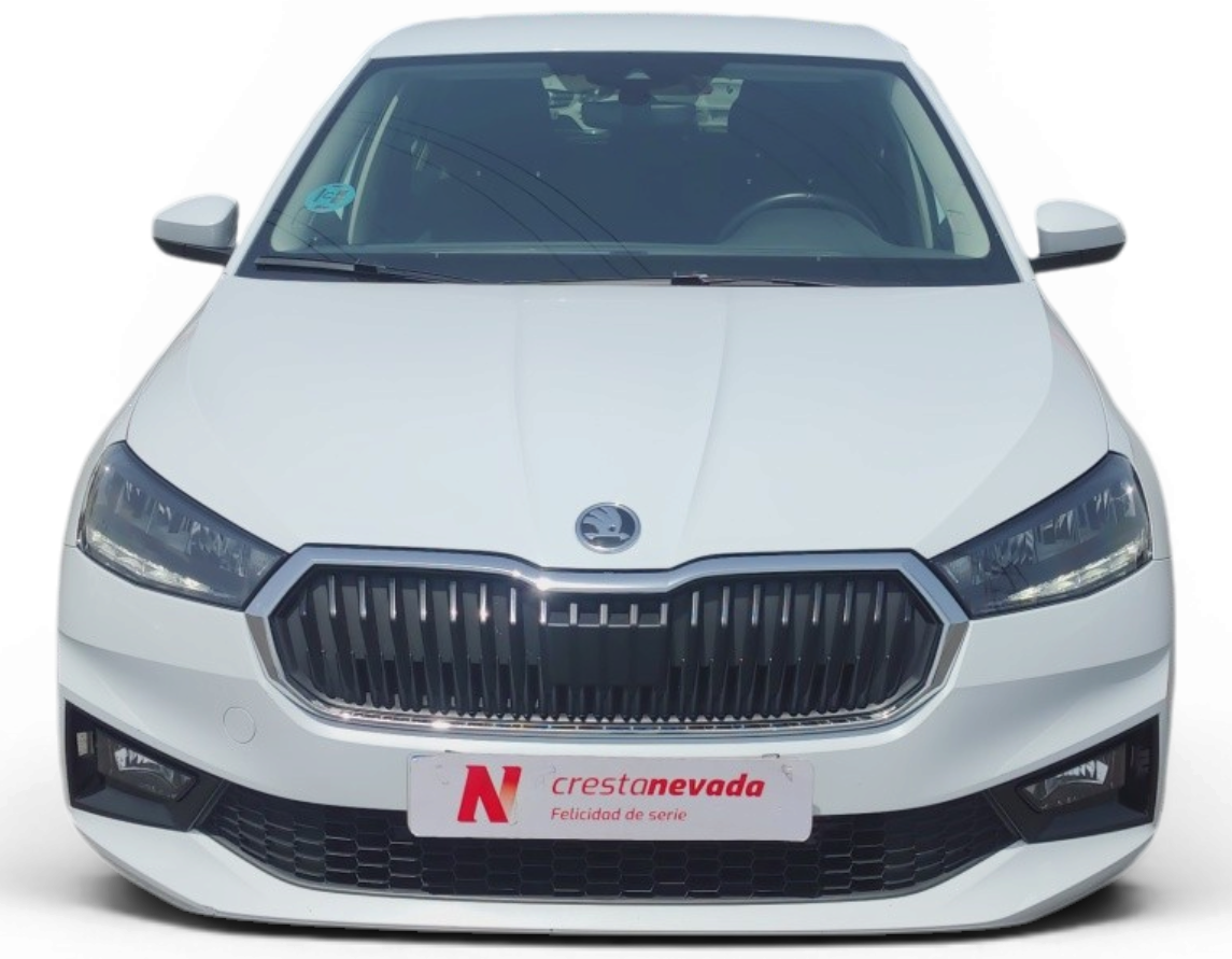 Imagen 2 de Skoda Fabia Gasolina 95 CV