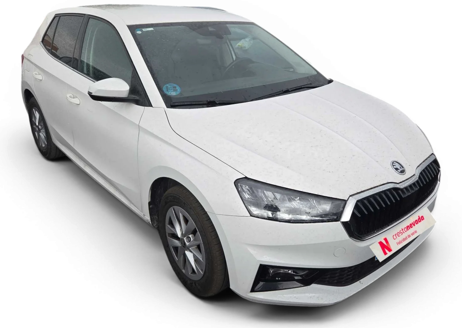 Imagen de Skoda Fabia