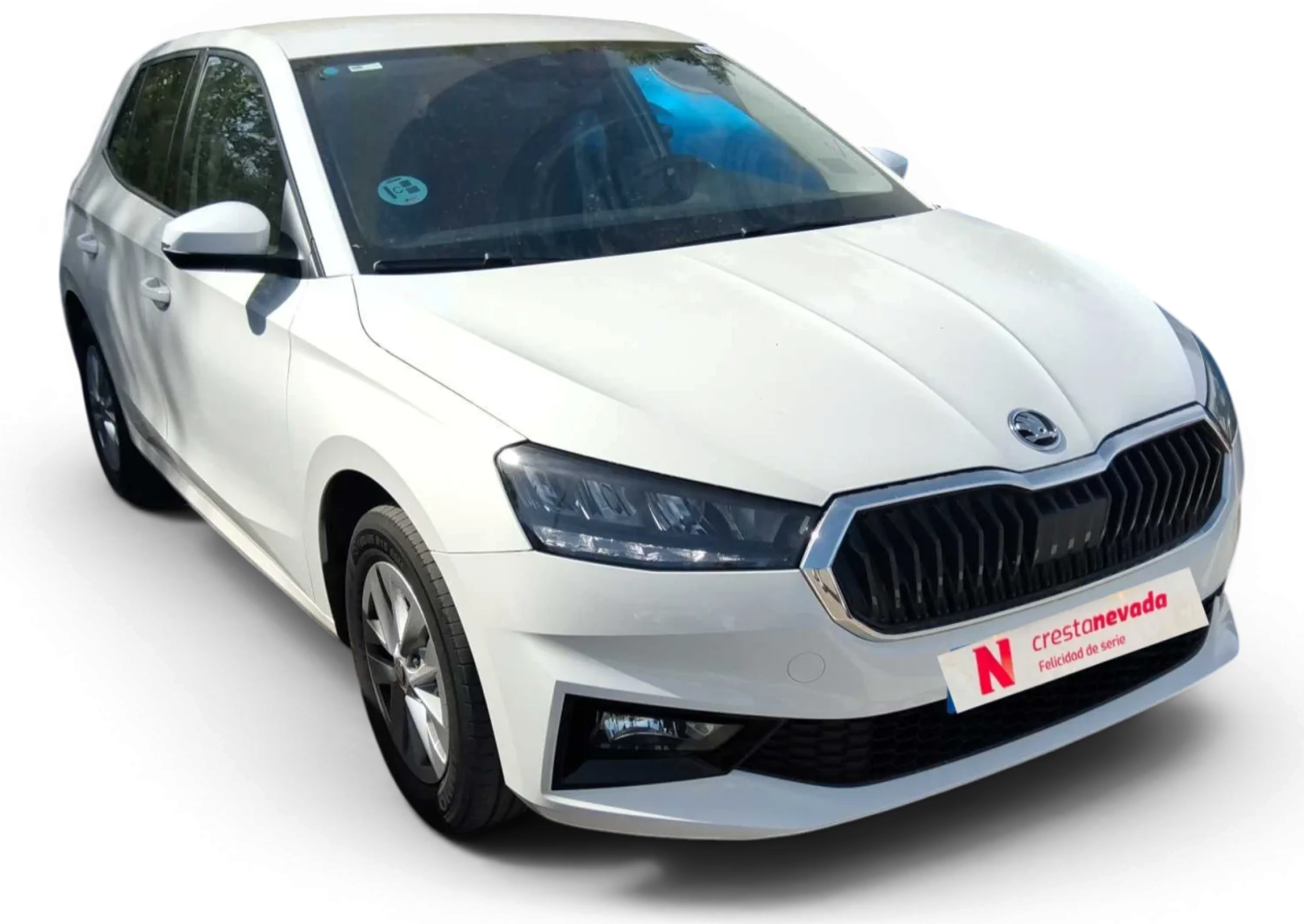 Imagen de Skoda Fabia