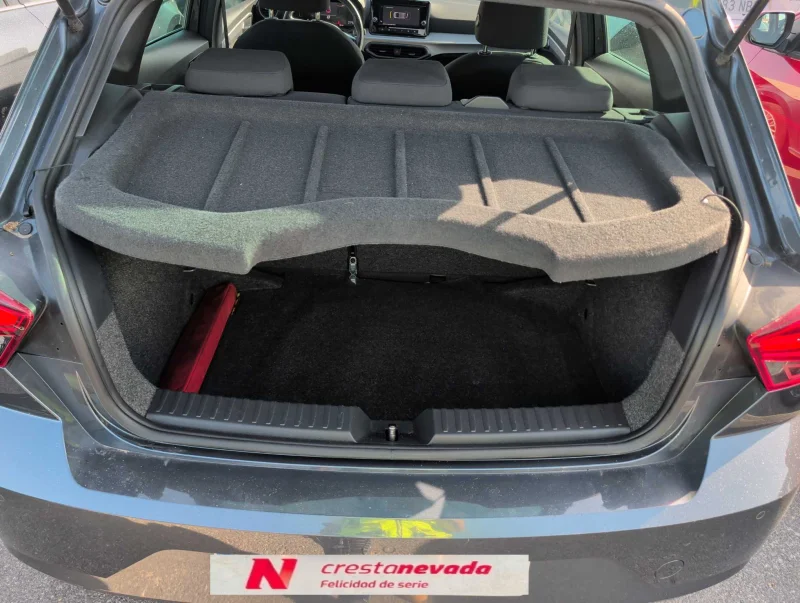 Imagen de SEAT Ibiza