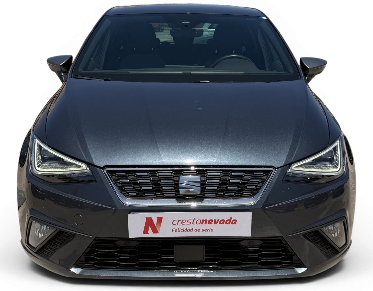 Imagen de SEAT Ibiza