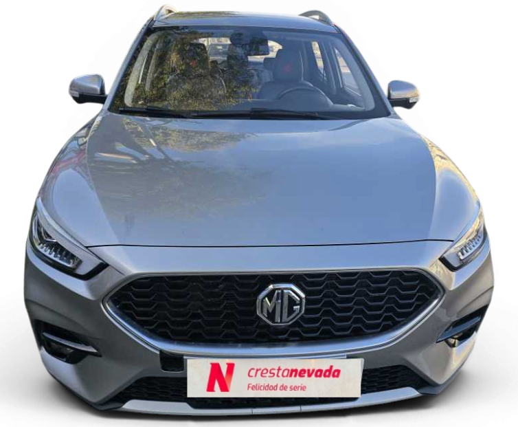 Imagen de Mg ZS