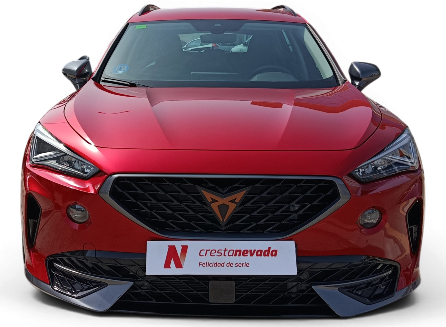 Imagen de cupra Formentor