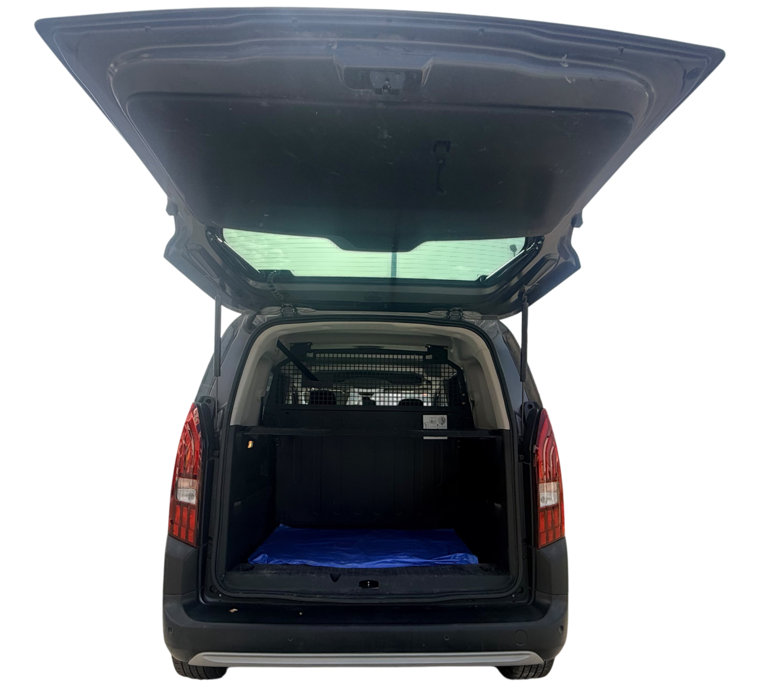 Imagen de Peugeot Rifter