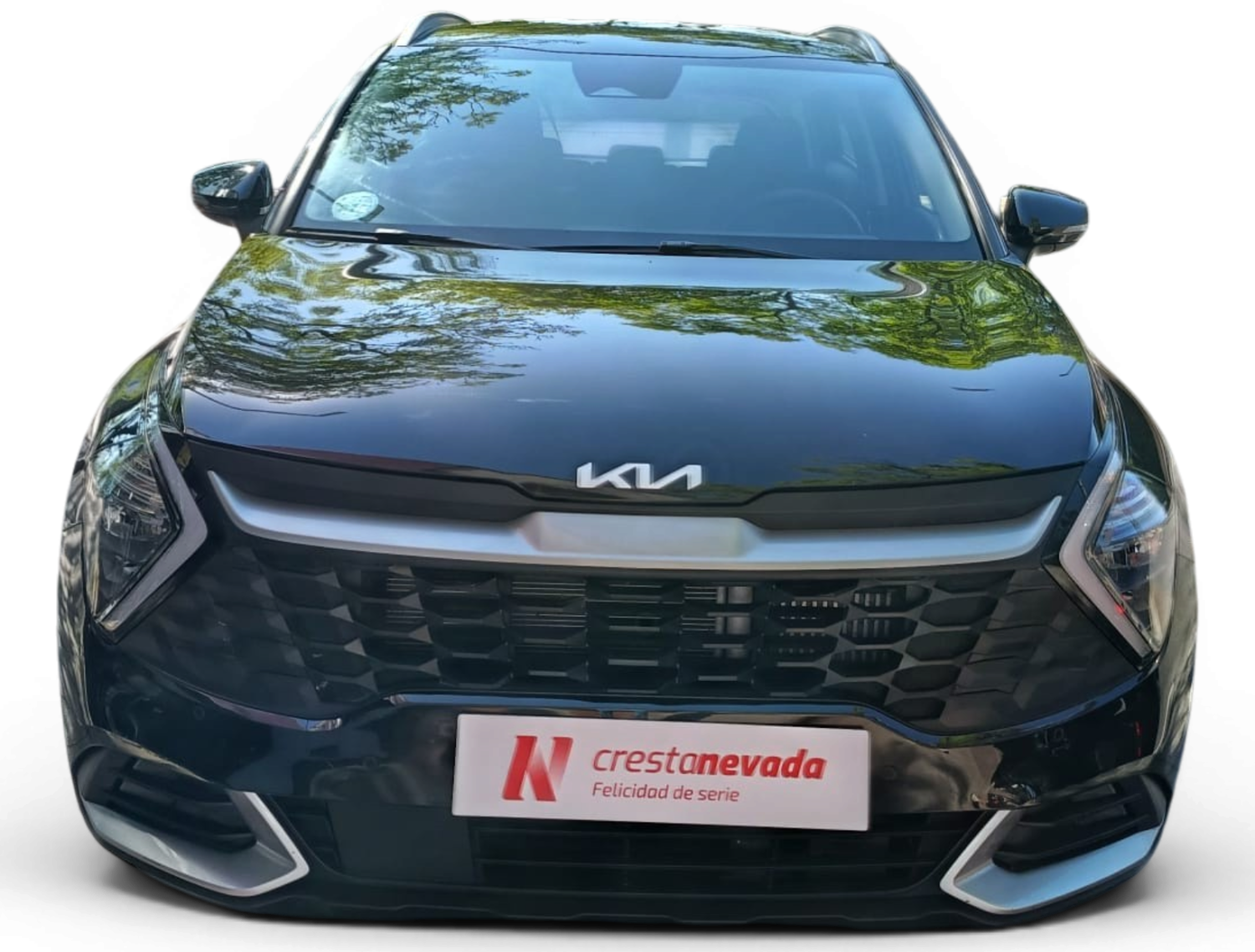 Imagen de Kia Sportage