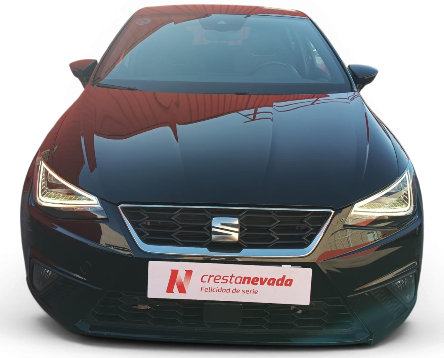Imagen de SEAT Ibiza