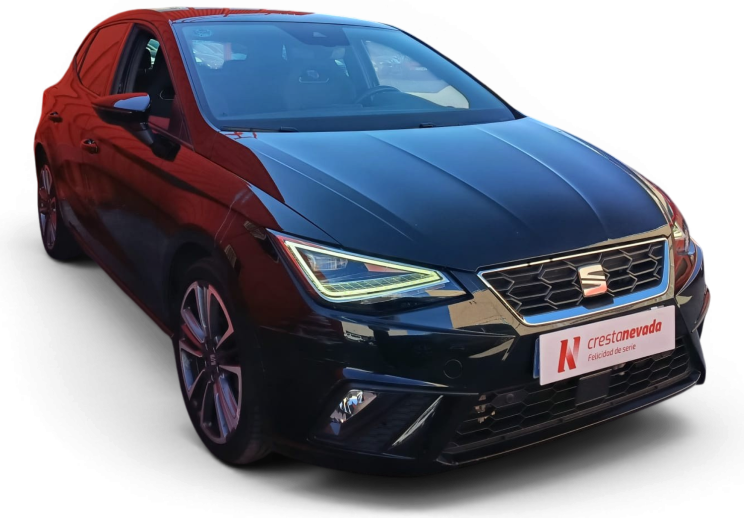 Imagen de SEAT Ibiza